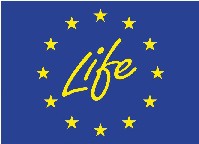 Life UE